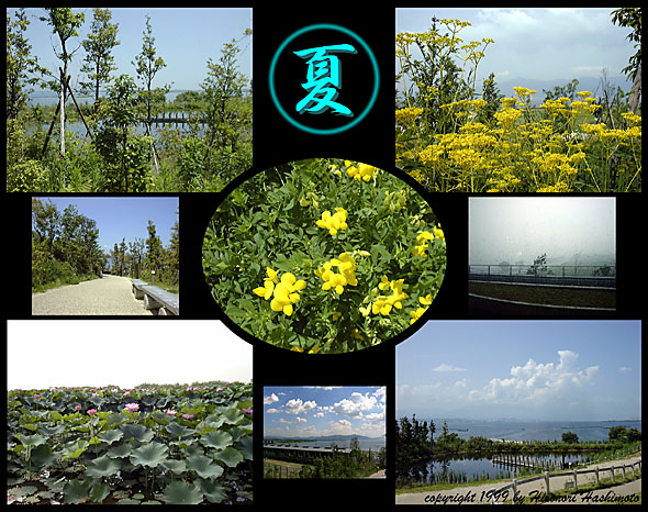 ���i�Δ����� �t�ďH�~�E��