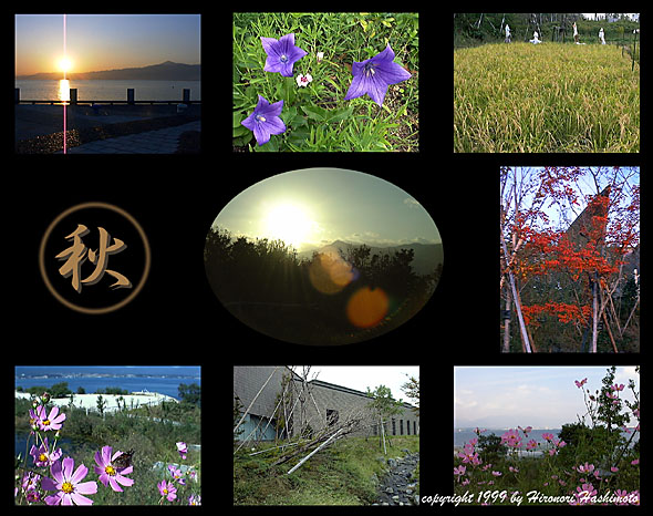 ���i�Δ����� �t�ďH�~�E�H