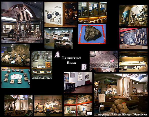 ��ݓW�����̕��i �` �`�W�����^�a�W���� �`