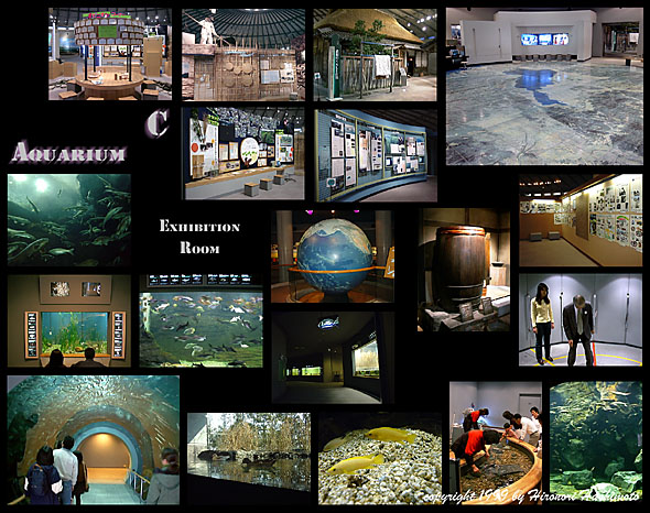 ��ݓW�����̕��i �` �b�W�����^�����W���� �`