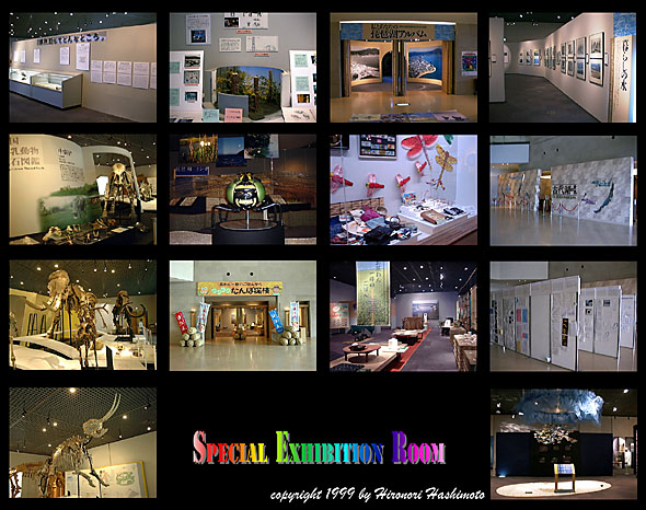 ���W���낢��