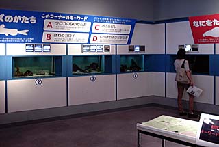 �������W�������̗l�q