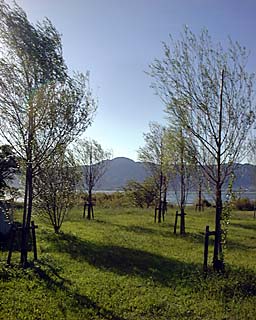 �ΊݗΒn�̖؁X�̊Ԃ���b�R������