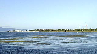 �u�ߒ��̌ΊݗΒn���G�۔�����]��