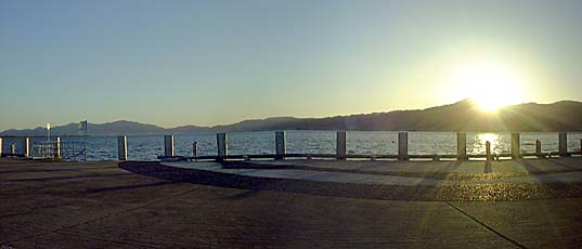 ��b�R�ɒ��܂�Ƃ���[�z�i�p�m���}�����j