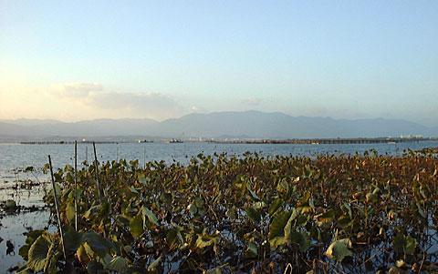 �[���̐Ԗ��p����k��]��