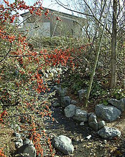 �͂�؂̒��ɐԈ��